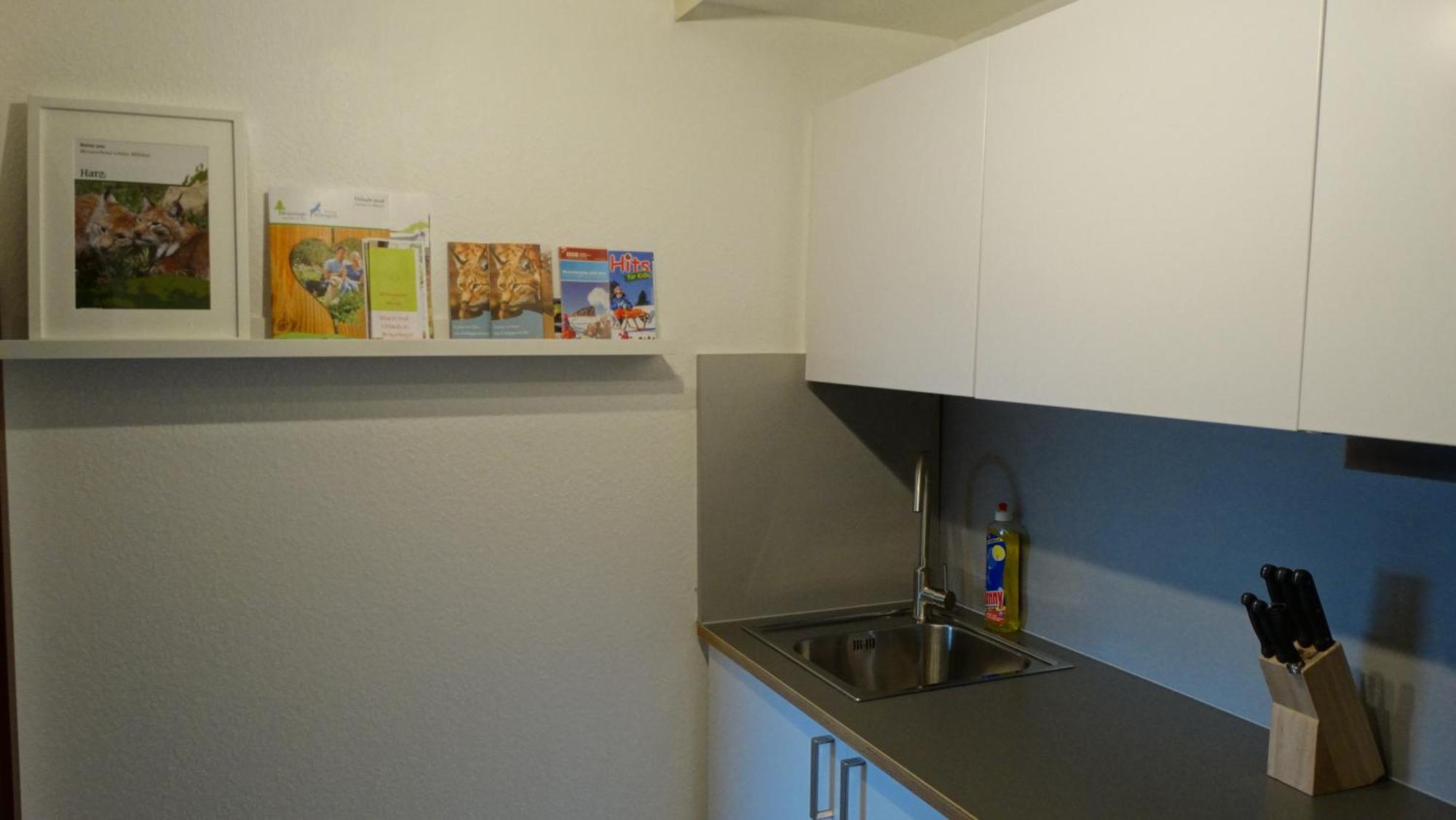 Appartement Bergziege à Braunlage Extérieur photo