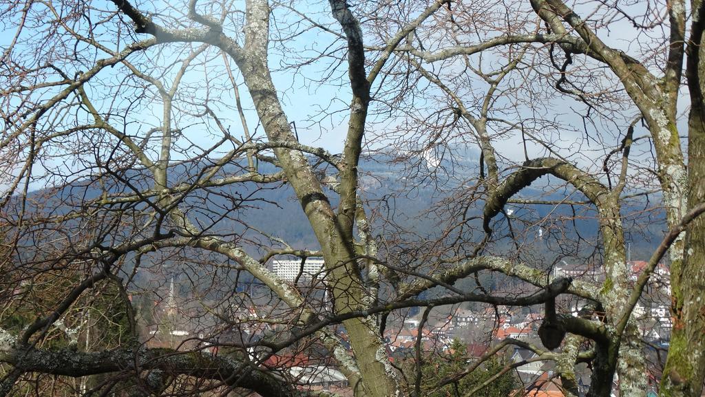 Appartement Bergziege à Braunlage Extérieur photo