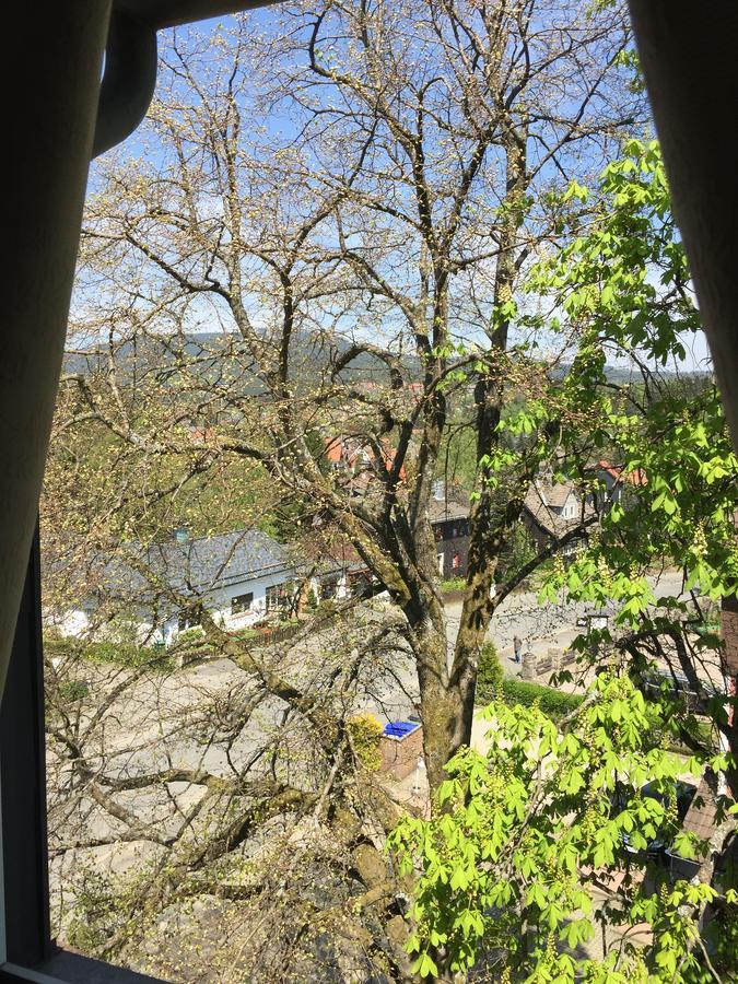 Appartement Bergziege à Braunlage Extérieur photo