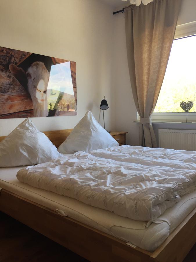 Appartement Bergziege à Braunlage Extérieur photo