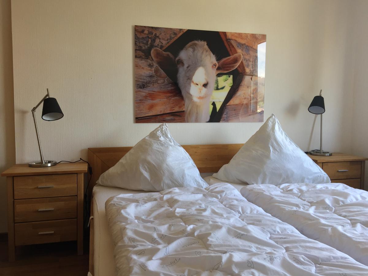 Appartement Bergziege à Braunlage Extérieur photo