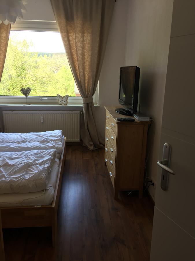 Appartement Bergziege à Braunlage Extérieur photo