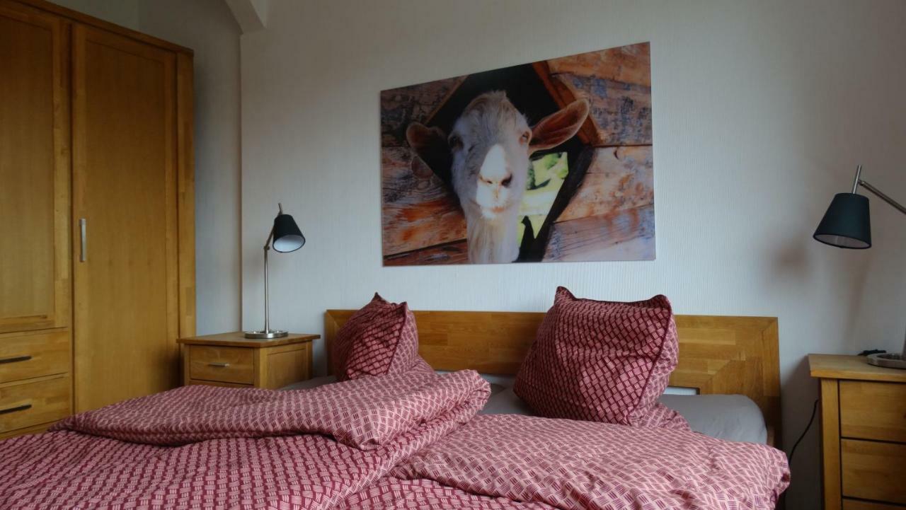 Appartement Bergziege à Braunlage Extérieur photo